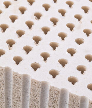 where can I buy a Latex Foam Mattress?